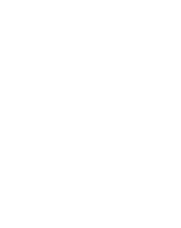 Point Of logo