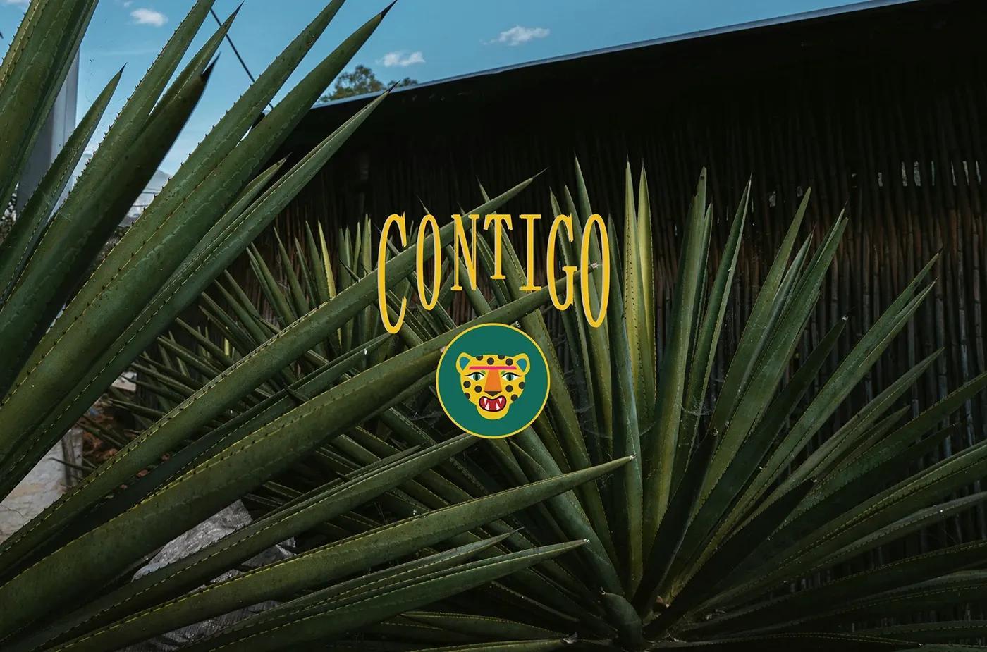 Contigo Tequila—hero image
