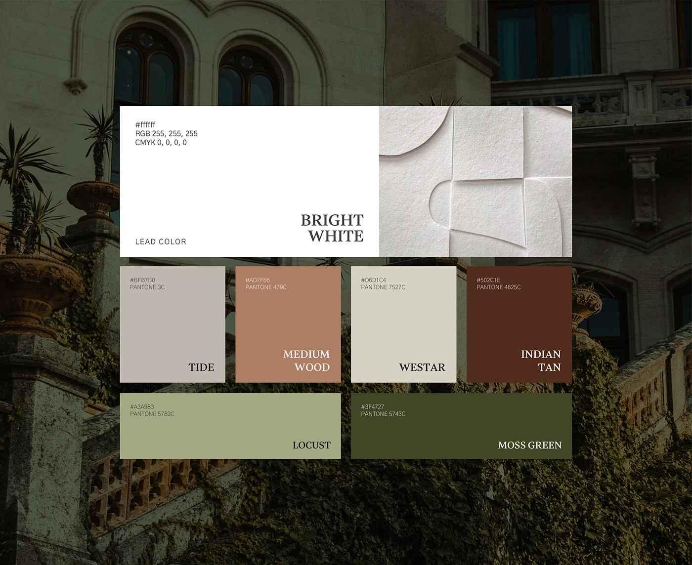 WhiteHues—showcase image 4